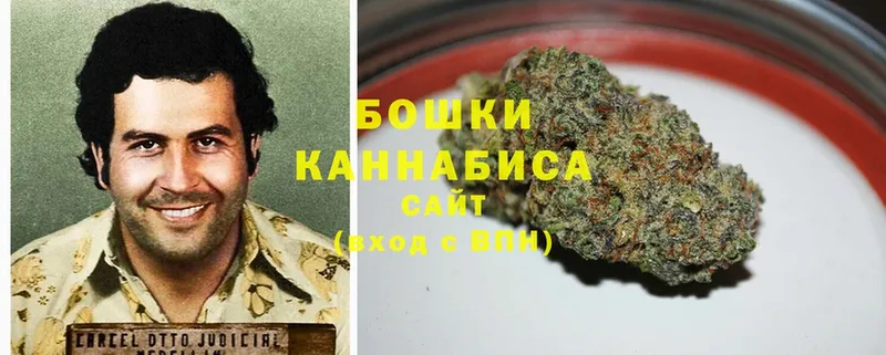 маркетплейс клад  Новая Ляля  Шишки марихуана тримм  купить   блэк спрут ССЫЛКА 